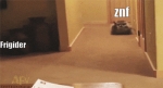image/gif | 200