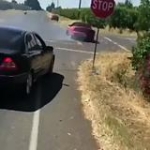 video/mp4 | 200