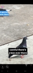 image/png | 200