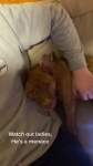 video/mp4 | 200