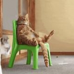 video/mp4 | 200
