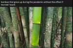 image/png | 200