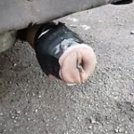 video/mp4 | 200