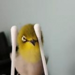 video/mp4 | 200