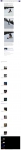 text/html; charset=UTF-8 | 200