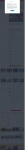 text/html; charset=UTF-8 | 200