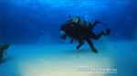 video/webm | 200
