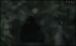image/gif | 200