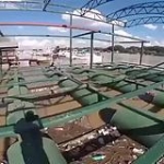 video/mp4 | 200