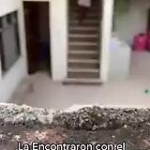 video/mp4 | 200