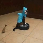 video/mp4 | 200