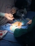 video/webm | 200