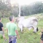 video/mp4 | 200