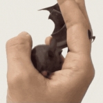 image/gif | 200