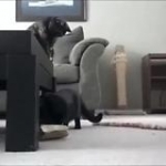 video/mp4 | 200
