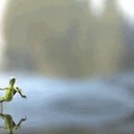 video/mp4 | 200