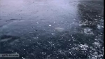 video/webm | 200