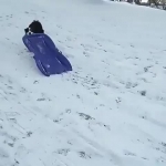 video/webm | 200