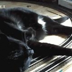 video/mp4 | 200