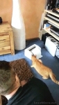 image/gif | 200