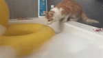 video/mp4 | 200