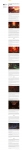 text/html; charset=utf-8 | 200
