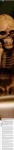 text/html; charset=UTF-8 | 200