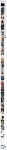 text/html; charset=UTF-8 | 200