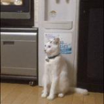 video/mp4 | 200