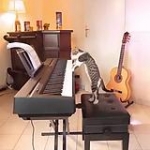 video/mp4 | 200