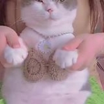 video/mp4 | 200