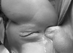 image/gif | 200