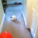 video/mp4 | 200