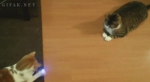 image/gif | 200