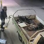 video/mp4 | 200