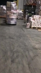 video/webm | 200