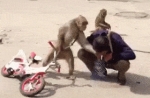 image/gif | 200