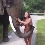 video/webm | 200