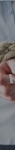 text/html; charset=UTF-8 | 200