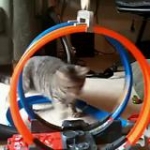 video/mp4 | 200