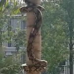 video/mp4 | 200