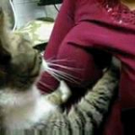 video/mp4 | 200