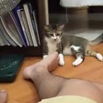 video/mp4 | 200