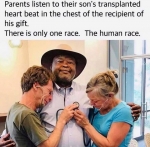 image/png | 200