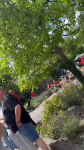 video/mp4 | 200