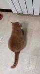 video/mp4 | 200