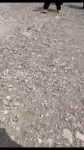 video/mp4 | 200