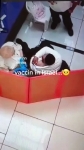 video/mp4 | 200
