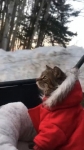 video/webm | 200