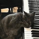 video/mp4 | 200